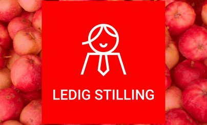 Lenkje til artikkel: Nærings- og samfunnsutviklar